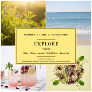EXPLORE - Summer Tea Ritual